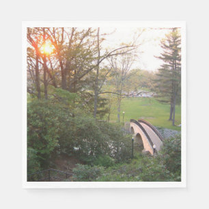 Rainbow Bridge Zonsondergang bij Grove City Colleg Servet