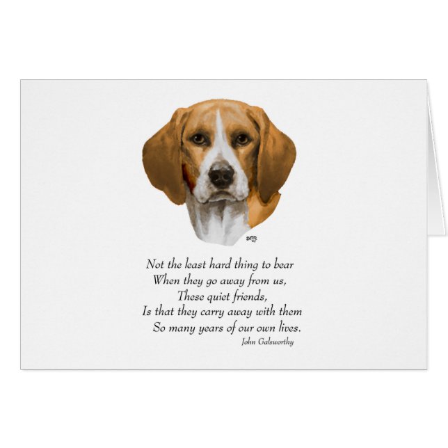 Rainbow-brug van Beagle (Voorkant Horizontaal)