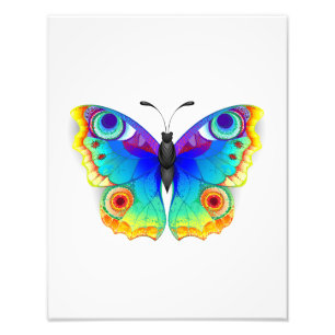 Rainbow Butterfly Peacock Eye Foto Afdruk
