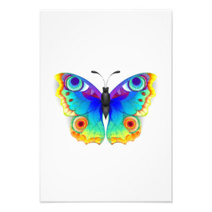 Rainbow Butterfly Peacock Eye Foto Afdruk
