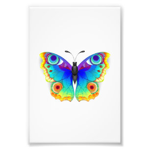 Rainbow Butterfly Peacock Eye Foto Afdruk