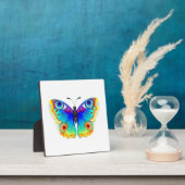 Rainbow Butterfly Peacock Eye Fotoplaat (Insitu)