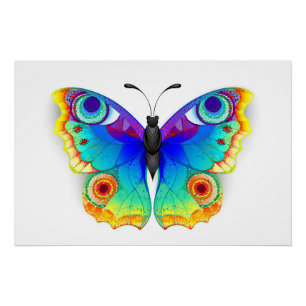 Rainbow Butterfly Peacock Eye Perfect Poster