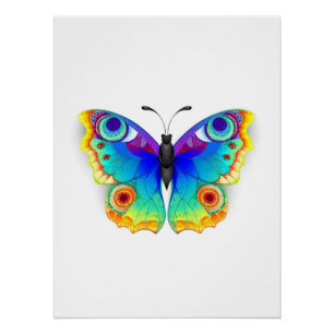 Rainbow Butterfly Peacock Eye Perfect Poster