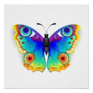 Rainbow Butterfly Peacock Eye Perfect Poster