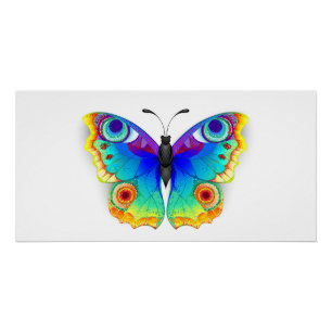 Rainbow Butterfly Peacock Eye Perfect Poster