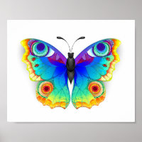 Rainbow Butterfly Peacock Eye