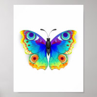 Rainbow Butterfly Peacock Eye