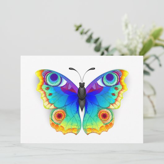 Rainbow Butterfly Peacock Eye Programma (Staand voorkant)