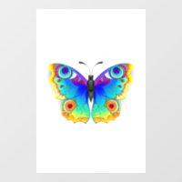 Rainbow Butterfly Peacock Eye