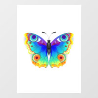Rainbow Butterfly Peacock Eye