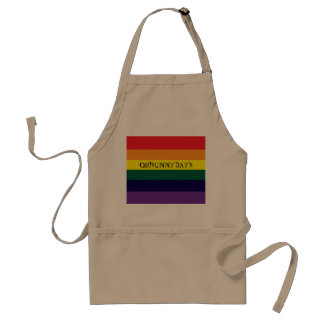 rainbow color standaard schort