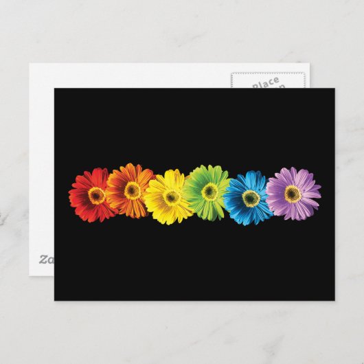 Rainbow Daisies Briefkaart (Voorkant / Achterkant)