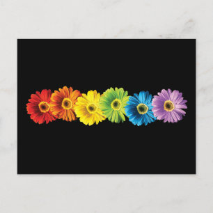 Rainbow Daisies Briefkaart