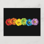 Rainbow Daisies Briefkaart (Voorkant)
