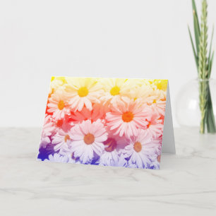 Rainbow Daisies Kaart