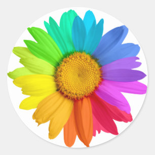 Rainbow Daisy Ronde Sticker