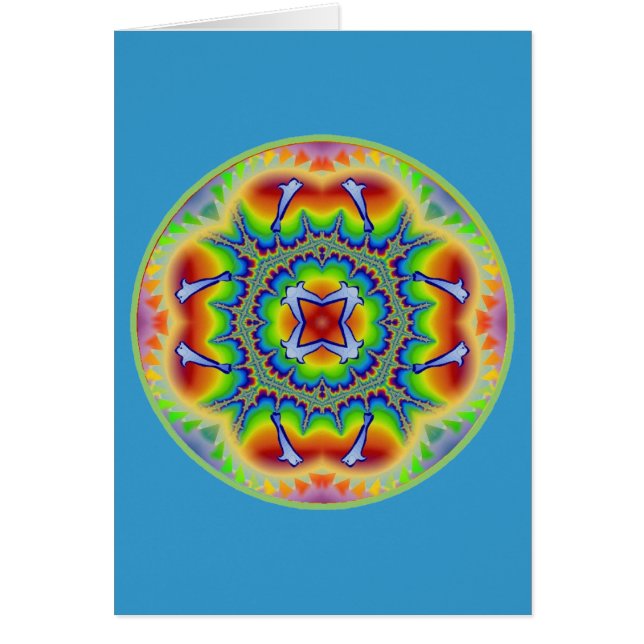 Rainbow Dolphin Delite (Voorkant)