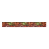 Rainbow Dragon Scales Lint (Voorkant)