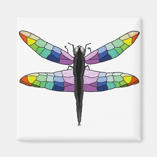 Rainbow Dragonfly magneet (Voorkant)