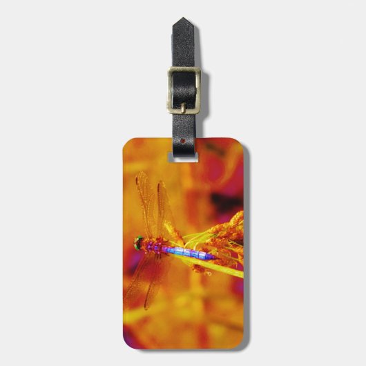 Rainbow Dragonfly op amber en fuschia Bagagelabel (Voorkant verticaal)