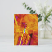 Rainbow Dragonfly op amber en fuschia Briefkaart (Staand voorkant)
