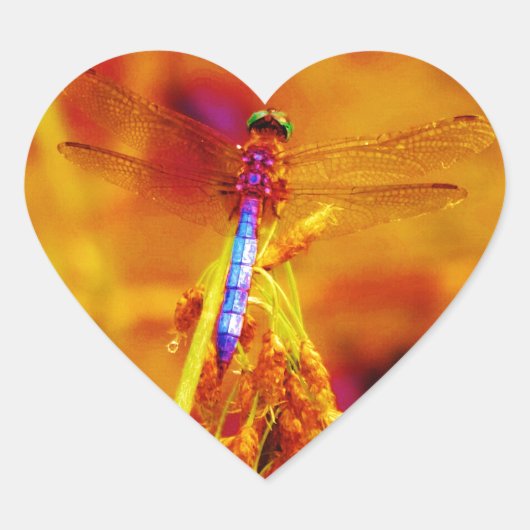 Rainbow Dragonfly op amber en fuschia Hart Sticker (Voorkant)