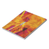 Rainbow Dragonfly op amber en fuschia Notitieblok (Gedraaid)