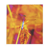 Rainbow Dragonfly op amber en fuschia Notitieblok (Voorkant)