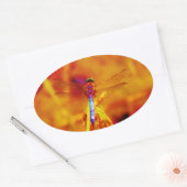 Rainbow Dragonfly op amber en fuschia Ovale Sticker (Envelop)
