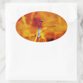 Rainbow Dragonfly op amber en fuschia Ovale Sticker (Tas)