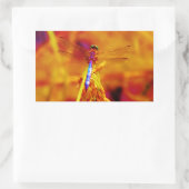 Rainbow Dragonfly op amber en fuschia Rechthoekige Sticker (Tas)
