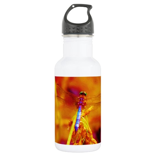 Rainbow Dragonfly op amber en fuschia Waterfles (Voorkant)