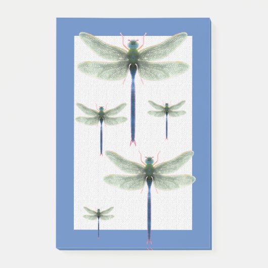 Rainbow Dragonfly Post-it® Notes (Voorkant)