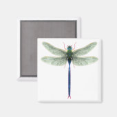 Rainbow Dragonfly Square Magnet Magneet (Voorkant / Achterkant)