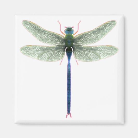 Rainbow Dragonfly Square Magnet Magneet (Voorkant)