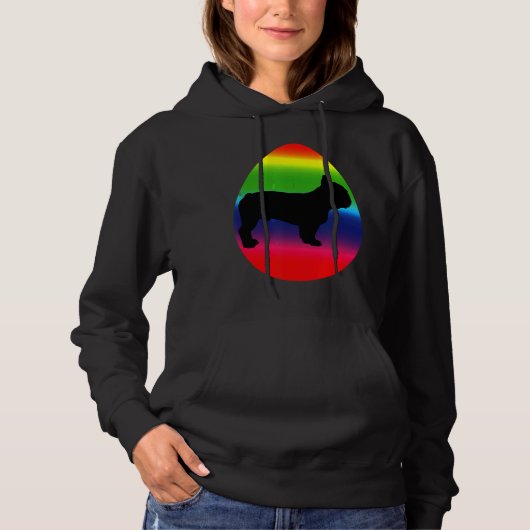 Rainbow Easter Rainbow Hoodie (Voorkant)