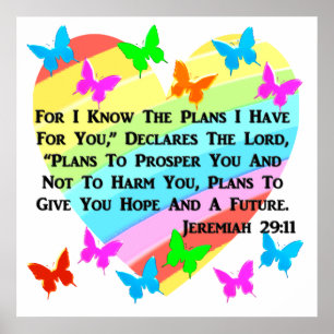 RAINBOW EN HOORZITTEN JEREMIAH 29:11 POSTER