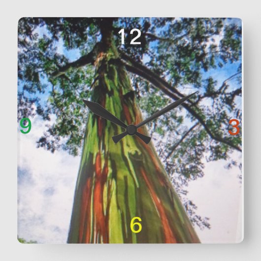 Rainbow Eucalyptus Tree Wall klok (Voorkant)
