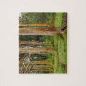 Rainbow Eucalyptus Trees, Maui, Hawaii, VS Legpuzzel (Verticaal)