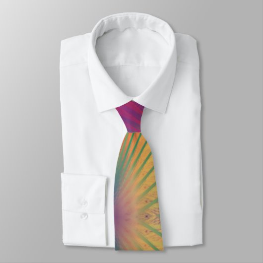 Rainbow Feathers Stropdas (Gebonden)