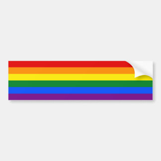 Rainbow Gay Lesbian Trans Queer LGBTQ Pride Flag Bumpersticker