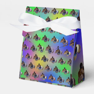 Rainbow Guinee Pigs Pattern, Birthday Favor Box Bedankdoosjes