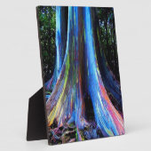 RAINBOW HAWAII EUCALYPTUS TREE FOTOPLAAT (Zijkant)