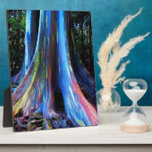 RAINBOW HAWAII EUCALYPTUS TREE FOTOPLAAT (Zijkant)