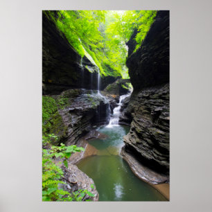 Rainbow-Herfsten en cascade, Watkins Glen, New Yor Poster