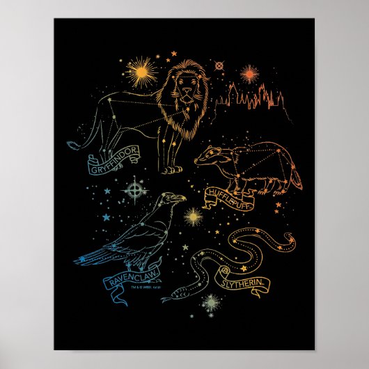 Rainbow HOGWARTS™ Houses Constellations Poster (Voorkant)