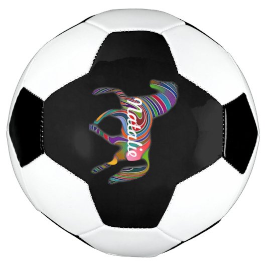 Rainbow horse - votre nom (Tourné)