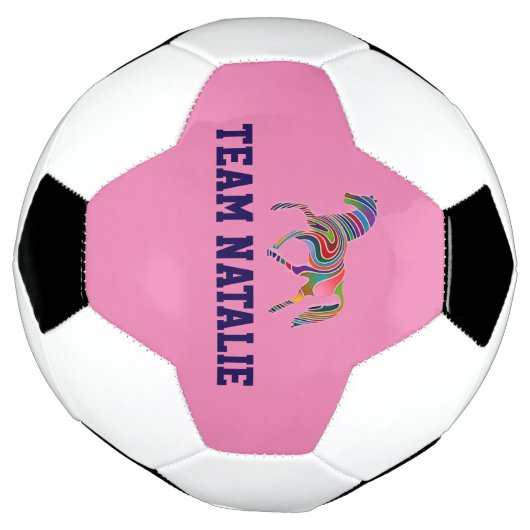 Rainbow horse - votre nom d'équipe (Tourné)