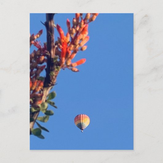 Rainbow Hot Air Ballon New Mexico Briefkaart (Voorkant)